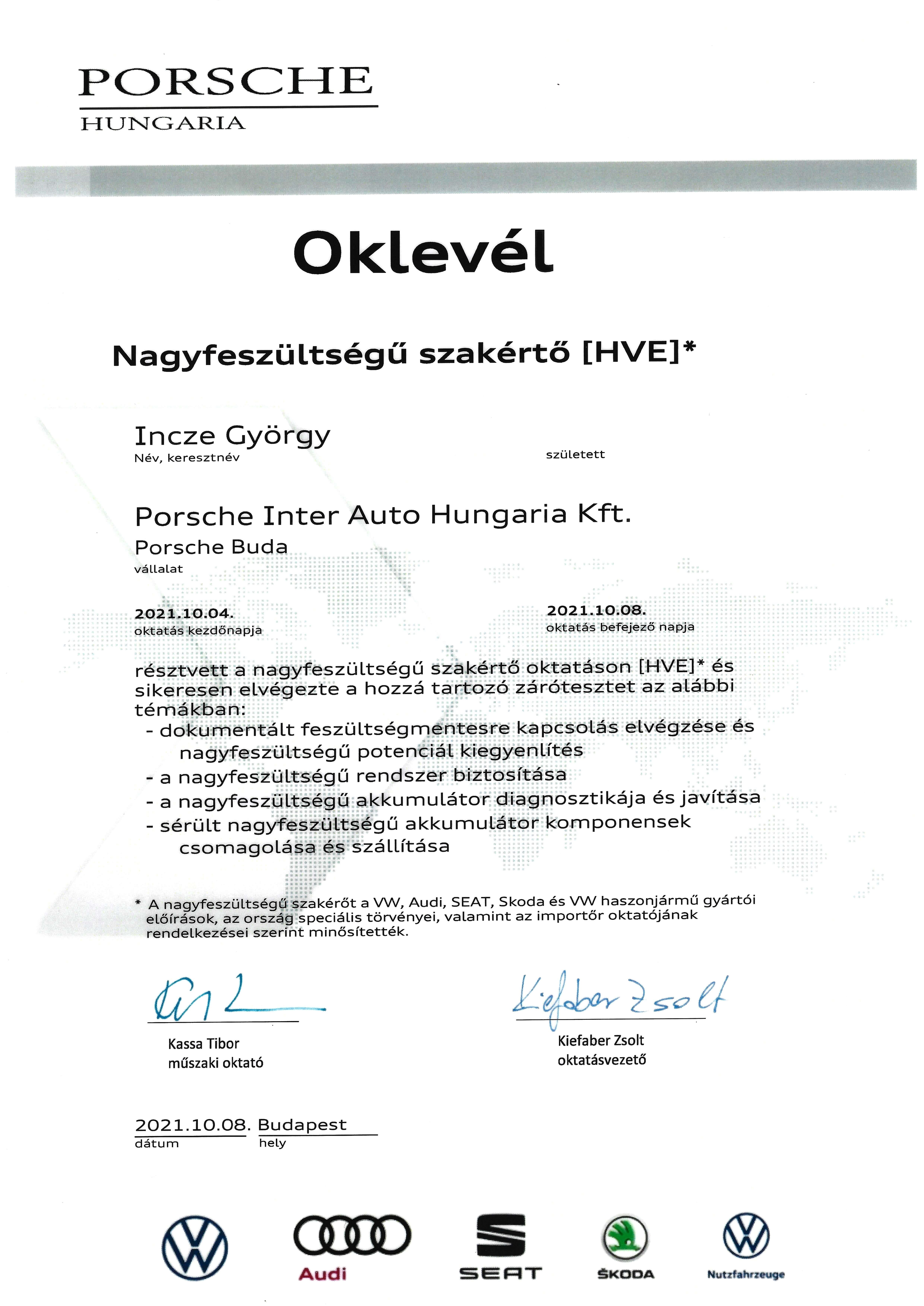 elektromos autó szakértő